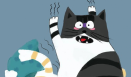 喵星人漫画,萌宠日常，欢乐满溢